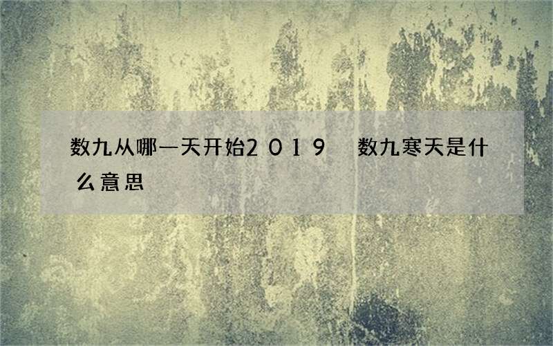 数九从哪一天开始2019 数九寒天是什么意思